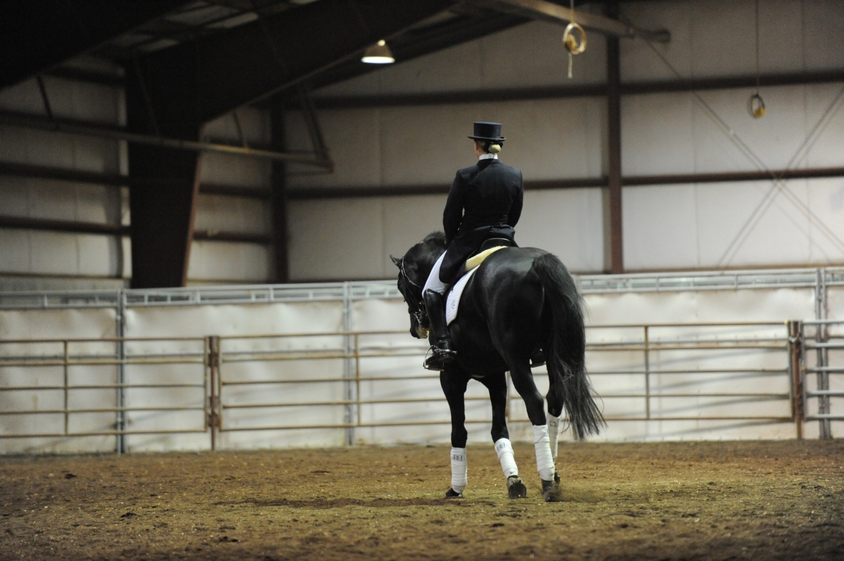 Support Your Back When Riding Horses Horse Journals